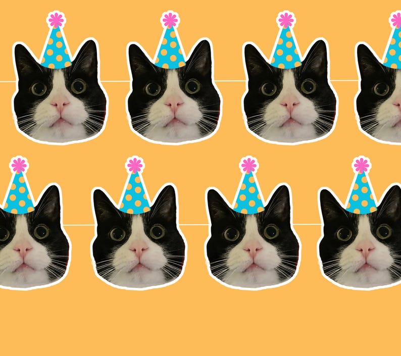 May include: A repeating pattern of black and white cat faces, each wearing a blue party hat with yellow polka dots and a pink flower on top. The background is a solid orange color.