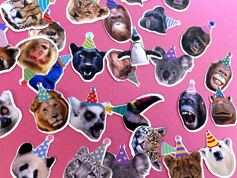 Jungle Zoo Animal Birthday Decoration Bundle, Zoo Animal Cupcake ...