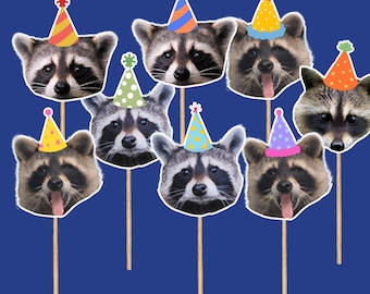 Raccoon birthday cupcake toppers, funny  animal cupcake toppers, forest animal birthday party decorations, raccoon party