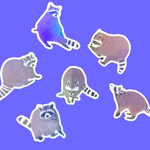 Raccoon sticker pack, holographic funny sticker pack, waterproof vinyl stickers for water bottle, laptop decals