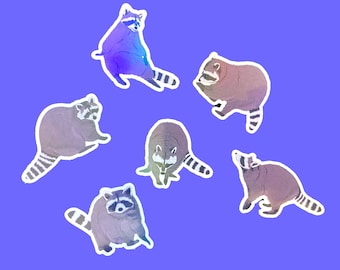 Raccoon sticker pack, holographic funny sticker pack, waterproof vinyl stickers for water bottle, laptop decals