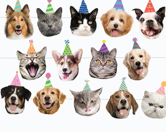 May include: A collection of various dog and cat faces, each wearing a colorful party hat. The animals are of different breeds and colors, with some smiling and others with their tongues out, creating a festive and cheerful image.