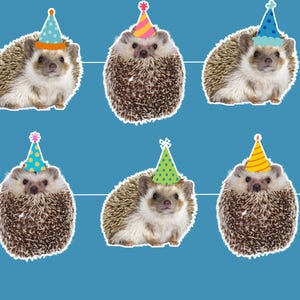 May include: Six cartoon hedgehogs, each wearing a party hat, are set against a blue background. The hedgehogs have brown and white quills and are ready to celebrate. A fun and festive design.