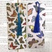 see more listings in the Signets section