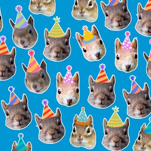 May include: A repeating pattern of squirrel faces, each wearing a colorful party hat, set against a bright blue background. The squirrels have brown fur and are smiling. The hats are decorated with stripes and polka dots.