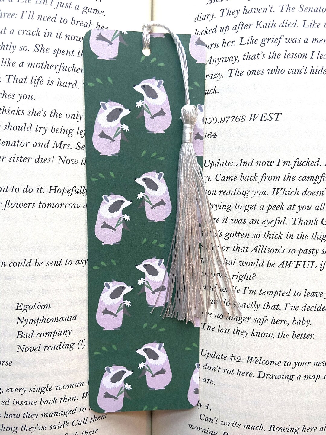 Funny Raccoon Bookmark With Tassel, Unique Bookmark for Her, Raccoon ...