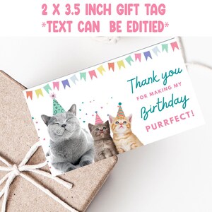 Cat birthday invitation, cute cat birthday invite, printable birthday invitation, are you kitten me, boy cat invite, girl cat invite image 5