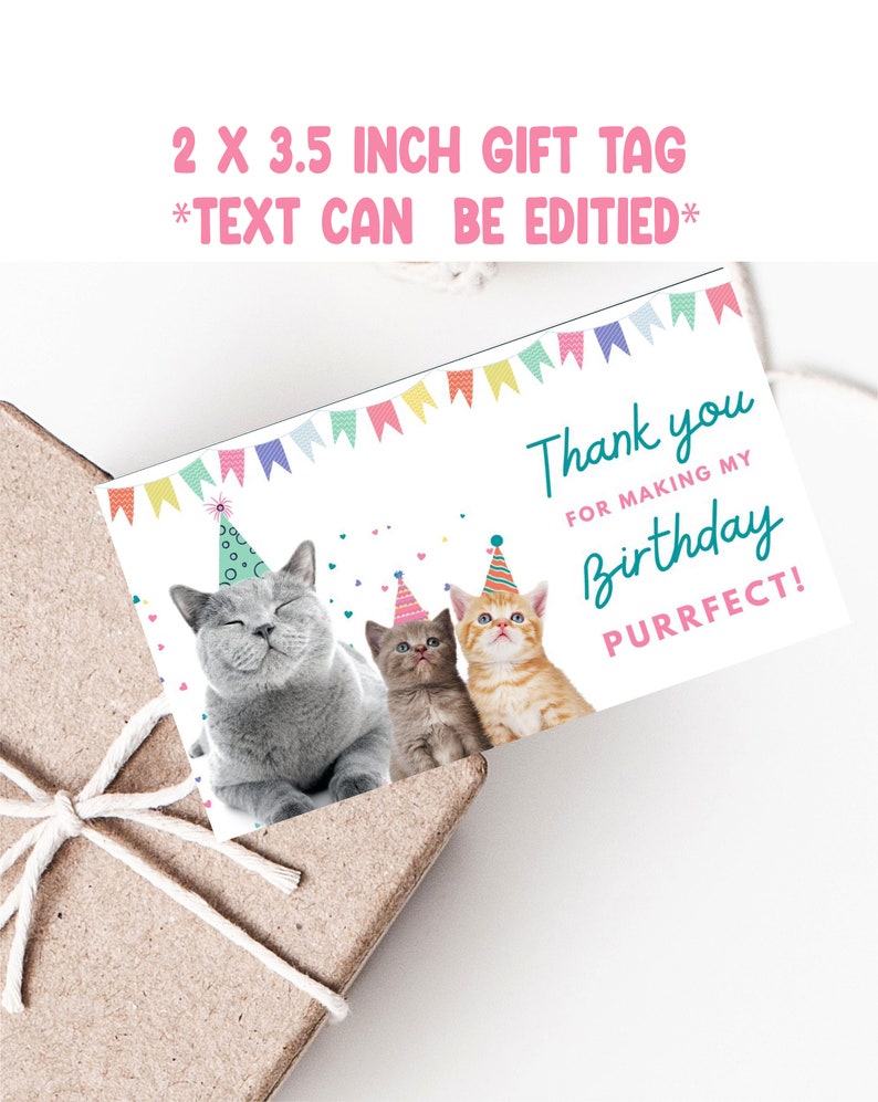 Cat birthday invitation, cute cat birthday invite, printable birthday invitation, are you kitten me, boy cat invite, girl cat invite image 5