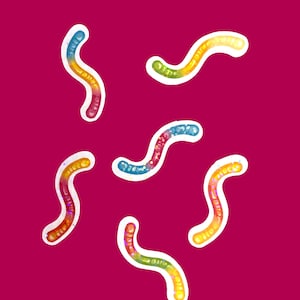 May include: Six colorful gummy worms on a pink background. The worms are in various positions, some are straight and some are curved.