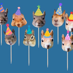 May include: A collection of squirrel face cutouts on wooden sticks, each wearing a colorful party hat. The hats feature various designs, including stripes and polka dots, with a blue background.