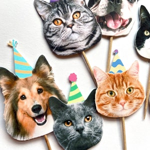 May include: A collection of pet-themed cupcake toppers featuring various cat and dog breeds. Each topper has a realistic image of a pet's face and is adorned with a colorful party hat. The toppers are attached to wooden sticks.