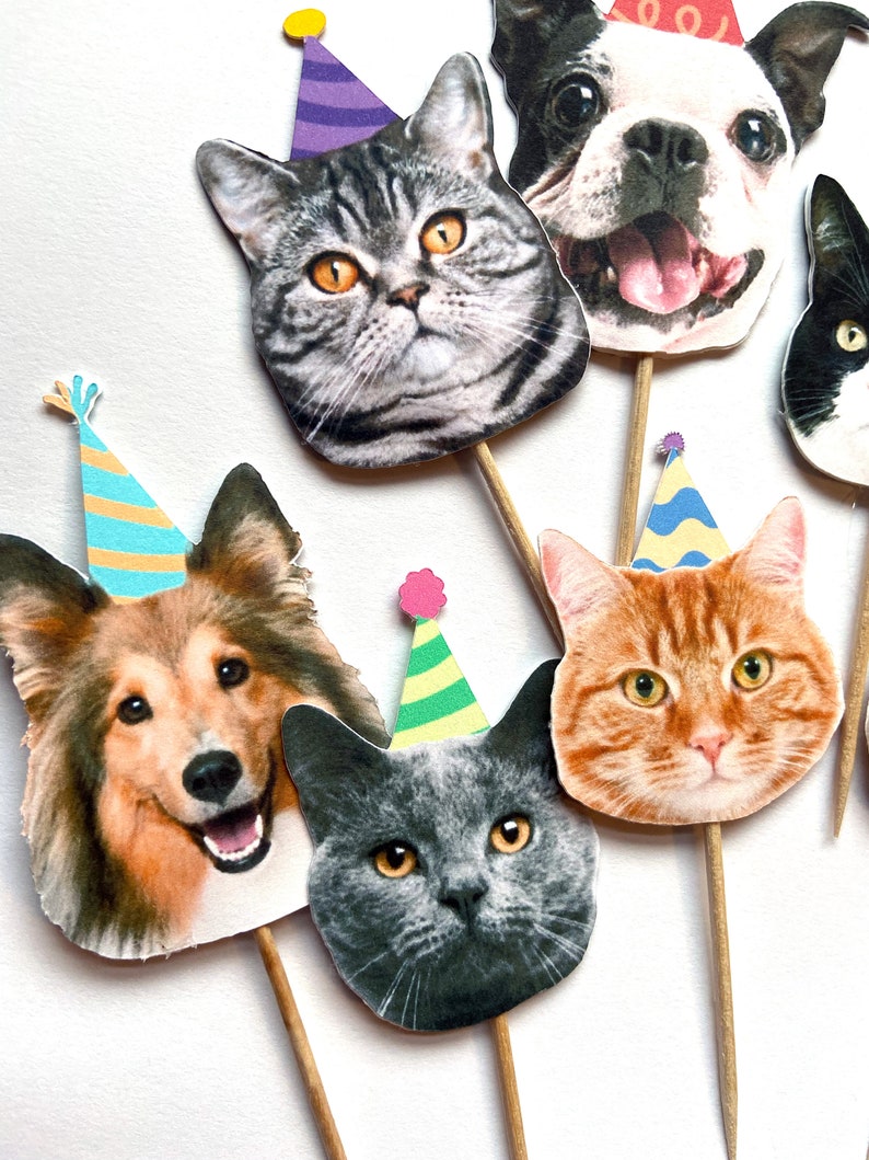 May include: A collection of pet-themed cupcake toppers featuring various cat and dog breeds. Each topper has a realistic image of a pet's face and is adorned with a colorful party hat. The toppers are attached to wooden sticks.
