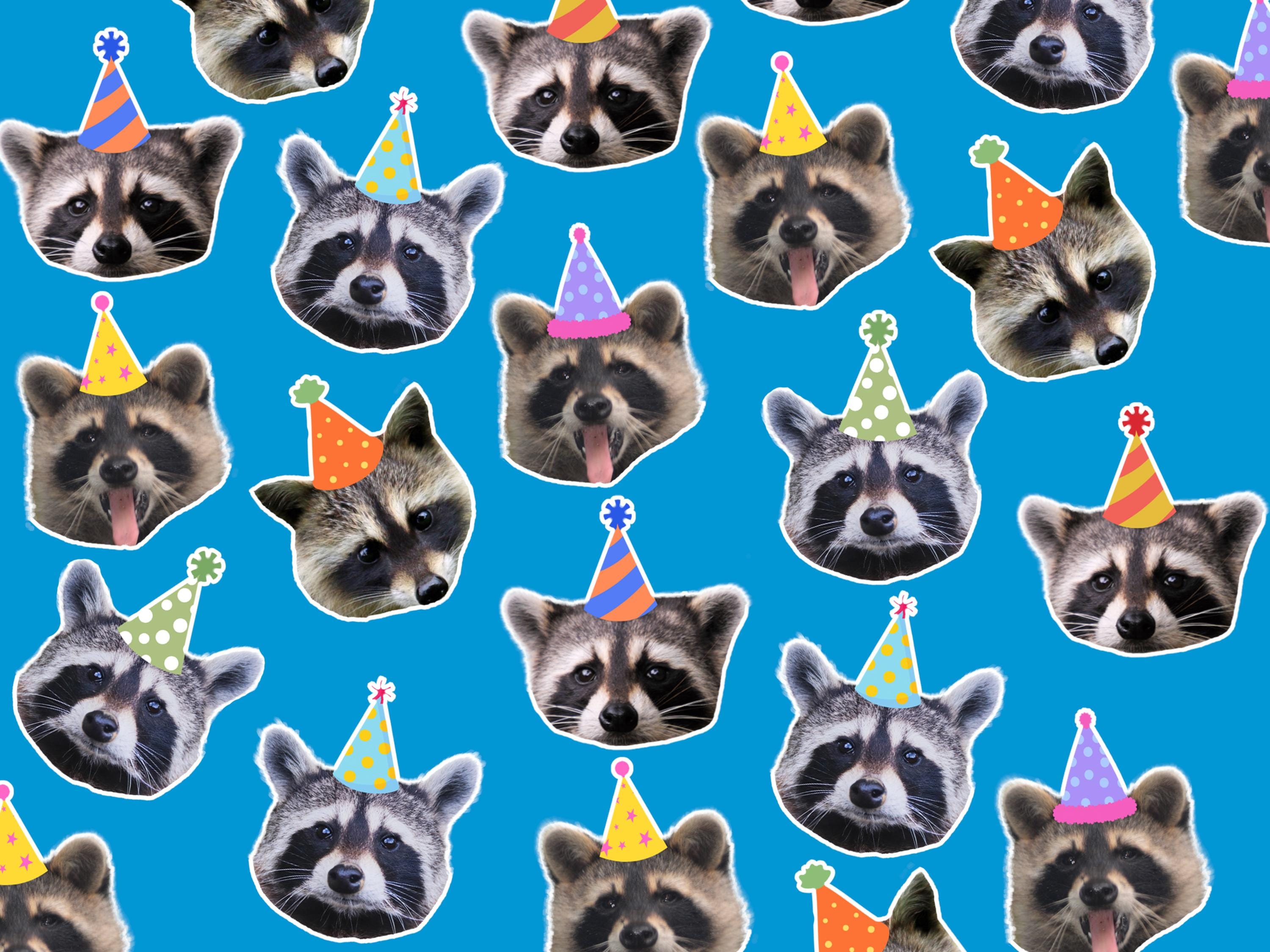 Raccoon Birthday Confetti, Forest Birthday Party Decorations, Raccoon ...