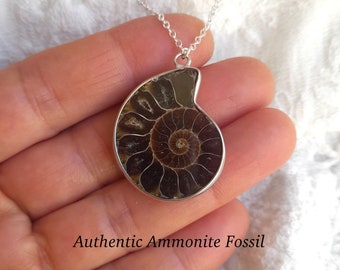 Ammonite necklace, ammonite fossil, authentic ammonite pendant, fossil pendant necklace