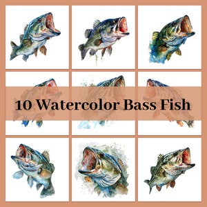 Bass Fish Clipart, Fish PNG, Watercolor Bass Fish, Fishing Fish png, Fishing png, Commercial Use PNG, Digital Download