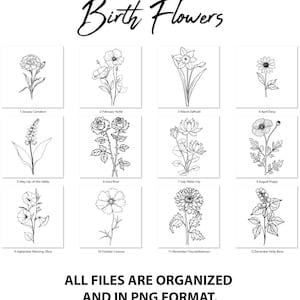 Clipart de fleur du mois de naissance, ensemble PNG de fleurs de naissance, bouquets de fleurs du mois de naissance aquarelle