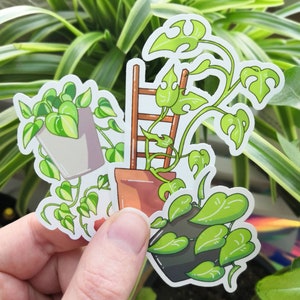 Plants - Glossy Sticker Set of 3