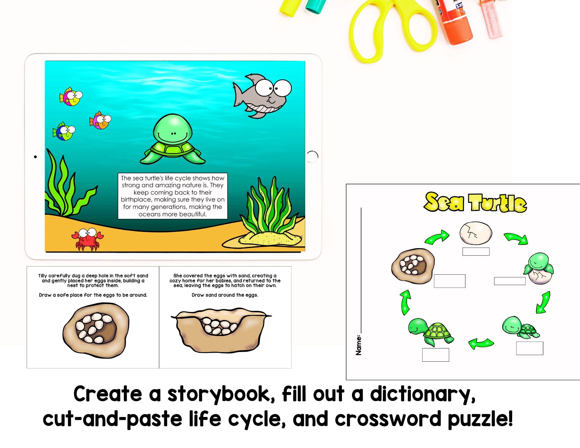 Life Cycle Bundle | Fun Science Activities | Science Presentation ...