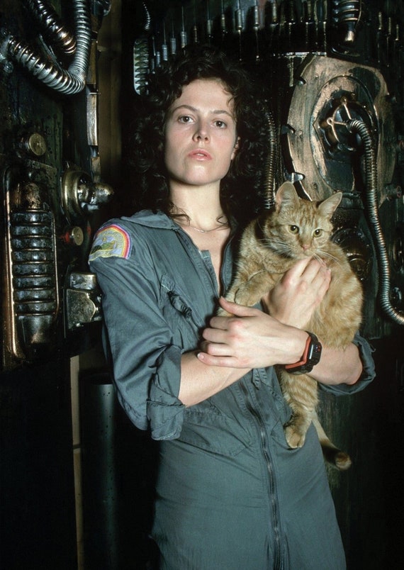 Aliens Ripley and Jonesy the Cat in the Nostromo Alternative Etsy