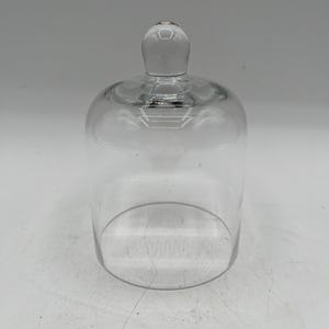 Small Vintage Glass Cloche Display