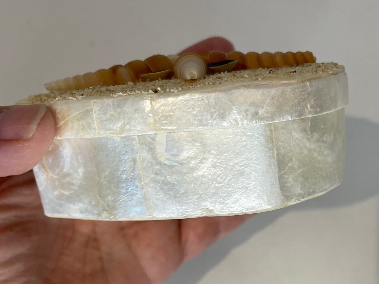 Delicate Capiz Shell Heart Shape Box With Seashell and Sand Detail - Etsy