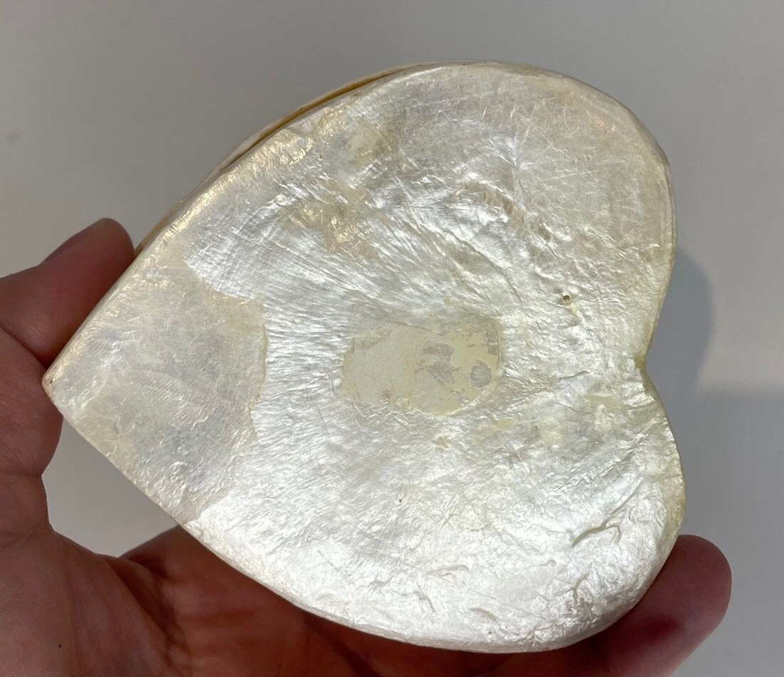 Delicate Capiz Shell Heart Shape Box With Seashell and Sand Detail - Etsy