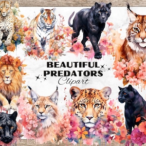 Mooie roofdieren aquarel clipart, leeuw met bloemen clipart, tijger clipart, PNG voor T-shirt design, predator sublimatie, Lynx PNG