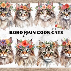 Pacote de flores Main Coon Boho, clipart aquarela, PNGs de alta qualidade, download digital, criação de cartões, clipart de gato, artesanato em papel digital, gatos