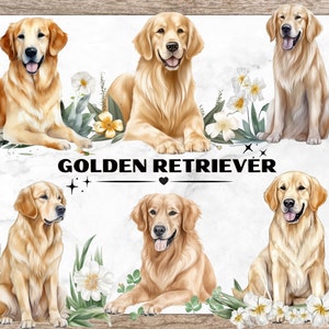 Golden Retriever Bundel, Aquarel Clipart PNG, Hond Clipart, Golden Retriever PNGs, Golden Retriever met bloemen, Hond Afbeeldingen voor Crafting