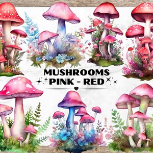 Pink Red Mushroom Bundle, Watercolor Clipart PNG, Mushroom Clipart, Magic Mushroom, Fantasy Mushroom, PNG Clipart, Mushroom Clip Art