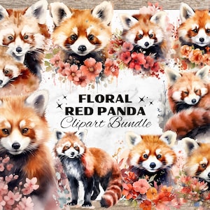Panda roux aquarelle Clipart, mignon Animal Cliparts, Clipart Panda, enfants pépinière Animal Art, Sublimation animaux enfants, Panda roux avec des fleurs