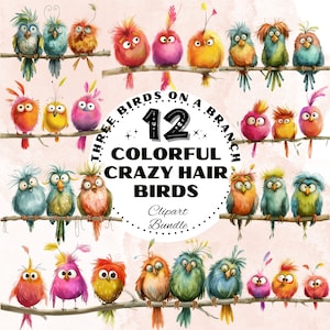 Paquete de imágenes prediseñadas de Crazy Hair Birds, peculiar pájaro de acuarela en un conjunto de ramas, gráficos para invitaciones, ilustraciones de decoración para niños, álbum de recortes PNG