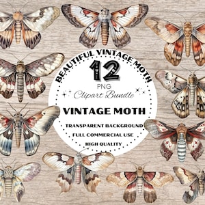 Vintage Moth Watercolor Clipart, Watercolour Moth, Moth Cliparts, Vintage Moth Grafic Bundle, Fantasy Moth Illustration, Mystic Witch Moth