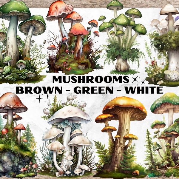 Brown Green White Mushroom Bundle, Watercolor Clipart, Mushrooms Clipart, Fantasy Mushroom, PNG Clipart, Cottagecore Clipart, Mushroom PNGs