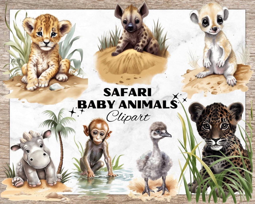 Safari Baby Animals Bundle, Watercolor Clipart PNG, Cute Animal ...