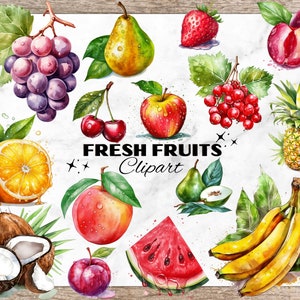 Imágenes Prediseñadas de acuarela de frutas frescas, imágenes prediseñadas de frutas, imágenes prediseñadas de cereza, arte de frutas, sublimación PNG, fresa - naranjas - manzana - coco - melocotón