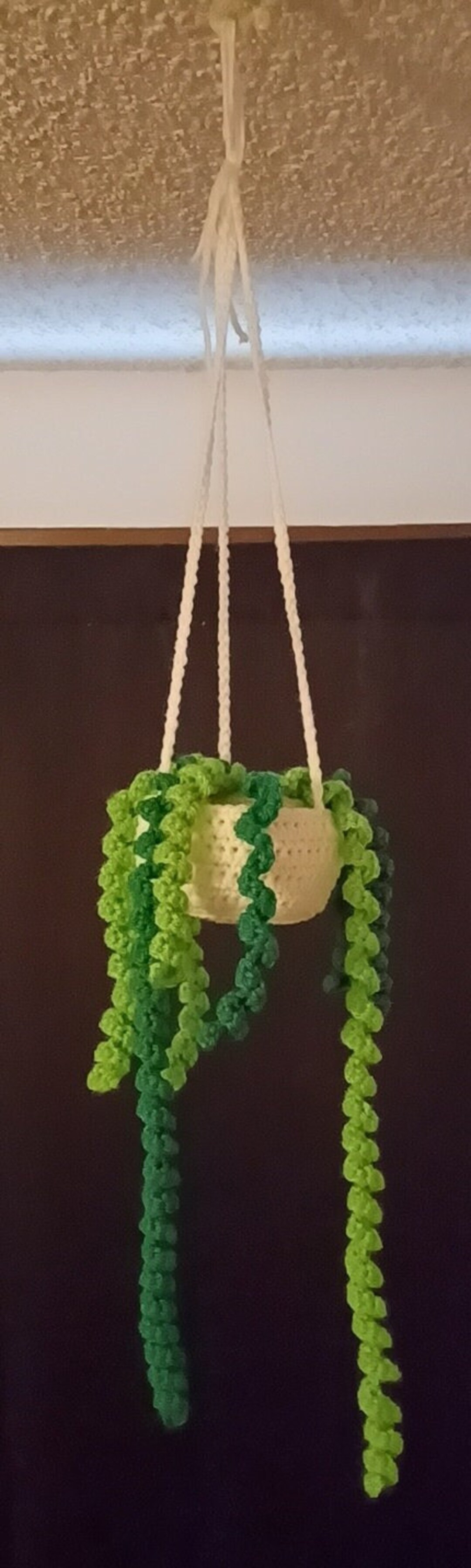 Crochet Hanging Plants Etsy