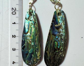 Vleugeloorbellen Paua: sterlingzilver met hendel, Nieuw-Zeelandse abalone
