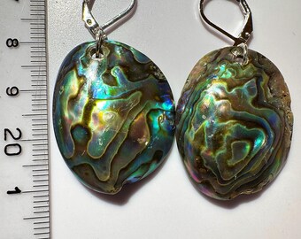 Druppeloorbellen met Paua-schelp: sterlingzilver met hendel, Nieuw-Zeelandse abalone
