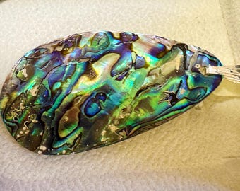 Paua schelp druppelhanger ketting: sterlingzilveren borgtocht, Nieuw-Zeelandse abalone