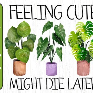 Sentir-se fofo pode morrer mais tarde PNG | Clipart digital de provérbios engraçados de plantas | Planta Mãe PNG download instantâneo | Sublimação de Plantas