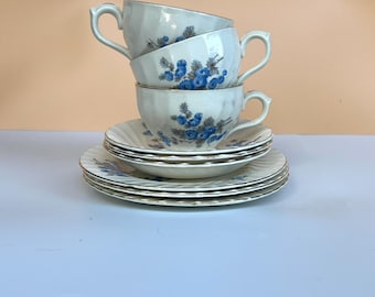 May include: A stack of three white ceramic teacups and three matching saucers, each featuring a delicate blue floral pattern with green leaves and a scalloped edge. The cups have curved handles and a ribbed texture on the exterior surface.