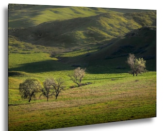 California Hills Art Print: Rolling Green Meadow, Oak Trees