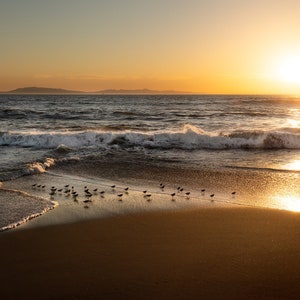 May include: A golden sunset over the ocean with a line of birds flying in formation over the beach.