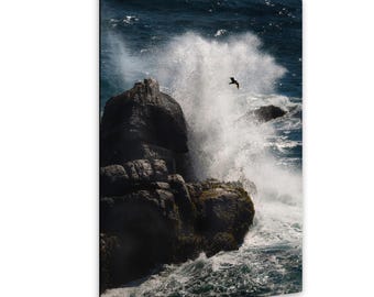Seabird in Crashing Waves – Pacific Coast Highway / Ocean Home Decor
