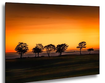 Dramatic Sunset Silhouette – Trees Against a Golden Orange Sky | Landscape Wall Art