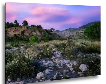 Tujunga Wash Leading to San Gabriels - Fine art Photograph