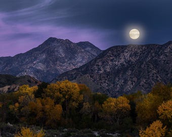 Cold Moon Rising / Fine Art Photo / Home Decor