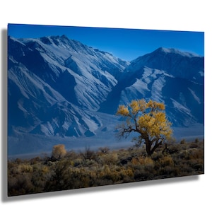 Lone Tree against the White Mountains Wall Art Living Room Canvas Print Highway 395 Eastern Sierras