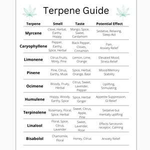 Terpene Guide